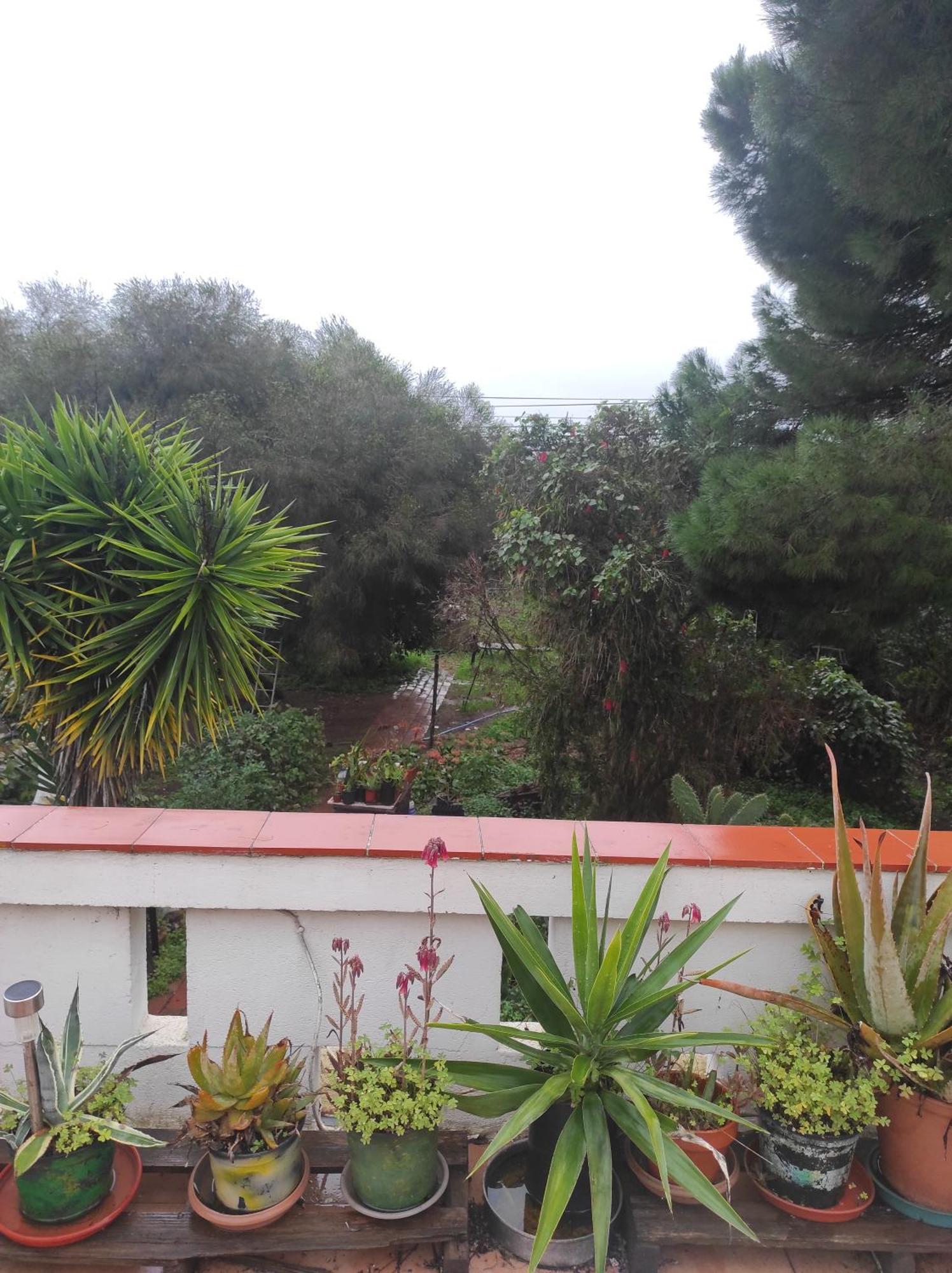 בודנס Casa Da Cabana מראה חיצוני תמונה